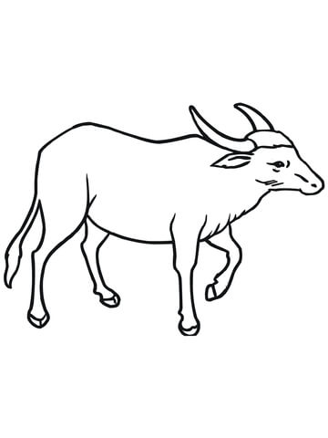 Wild Asian Water Buffalo Coloring Page